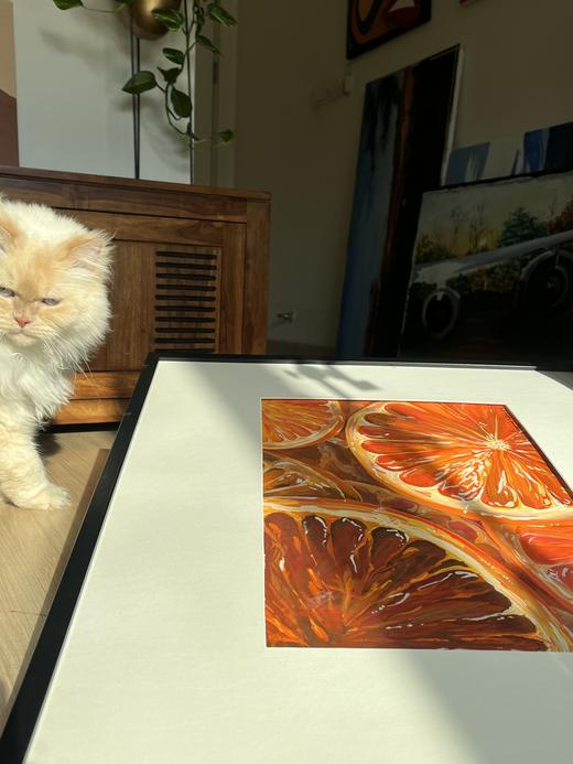 Blood Oranges shown in an interior, for a sense of scale
